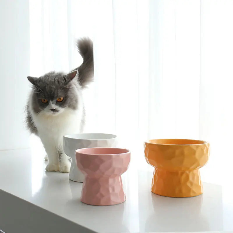 Cremini Pet Feeding Bowl