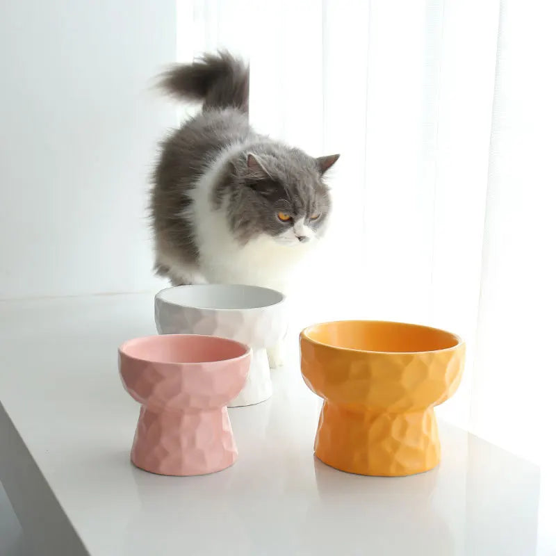 Cremini Pet Feeding Bowl